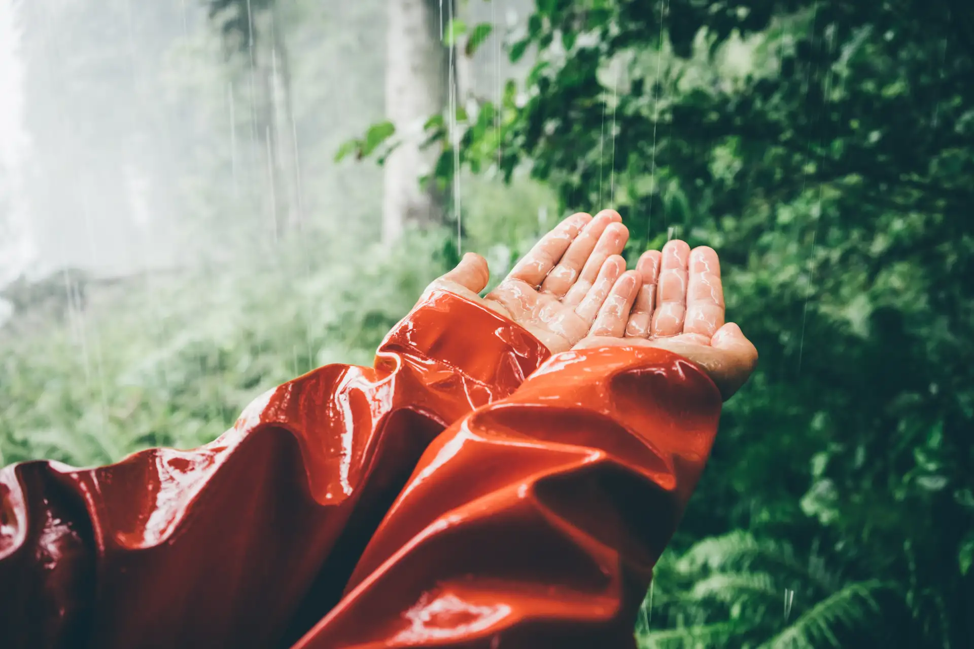 Elenco pubblicazioni 2025